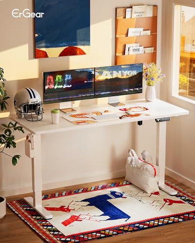 48 x 24 Inches Height Adjustable Electric Standing Desk with Memory S60592