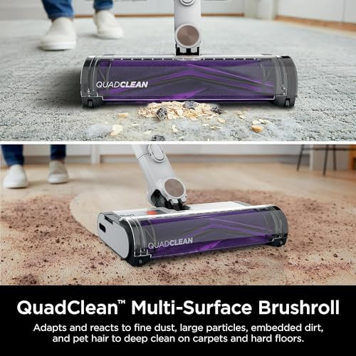 Cordless Stick F2713