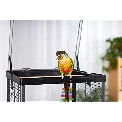 Bird Cage V4818