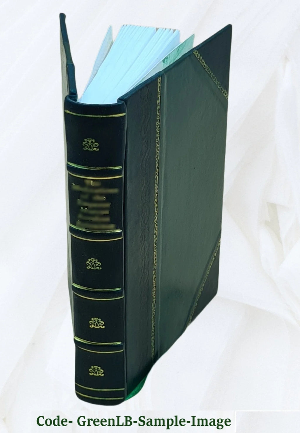 Leather Bound Book N989