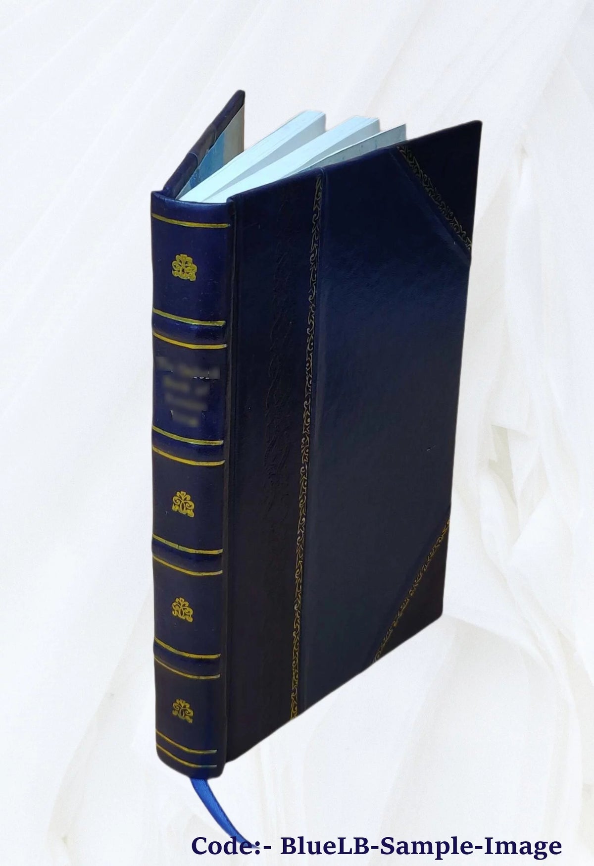 Leather Bound Book M25158