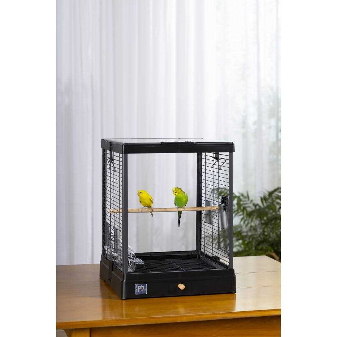 Bird Cage V4818