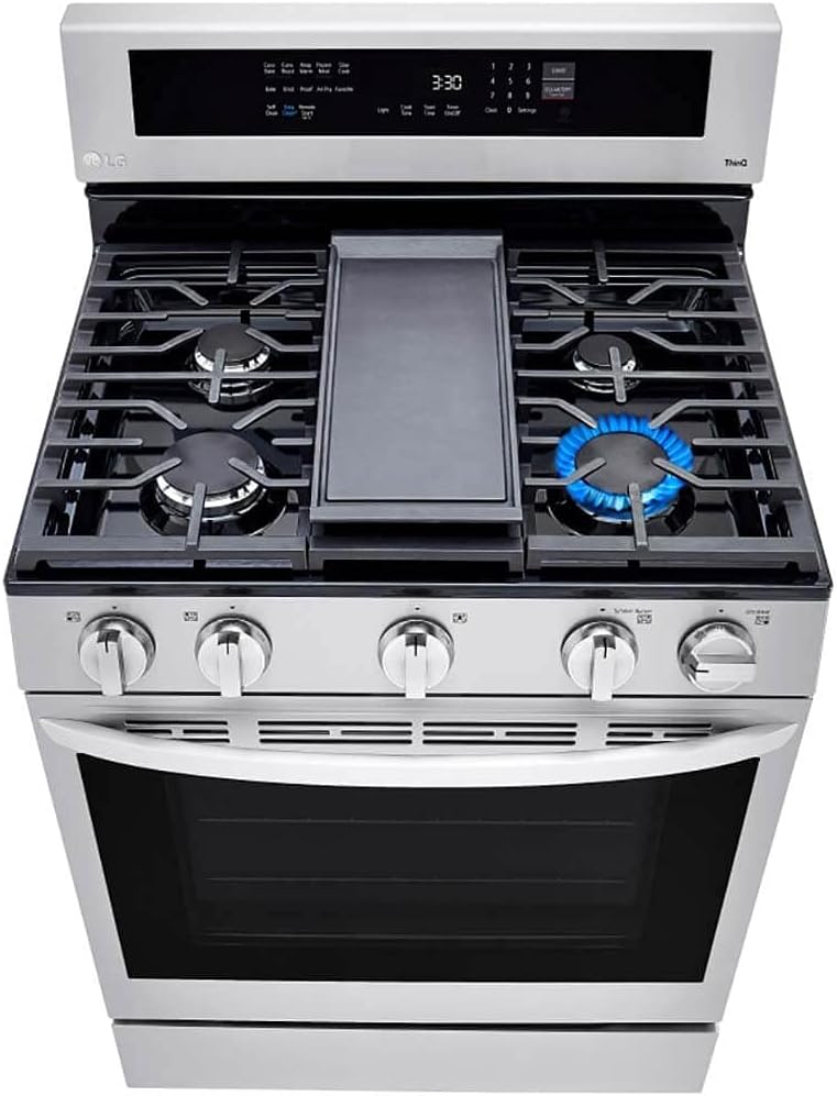 5.8 Cu. Ft. Stainless Steel Gas Range Q4719
