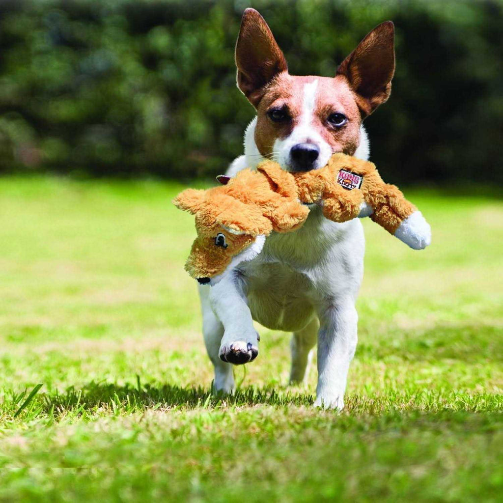 Dog Toy R914386