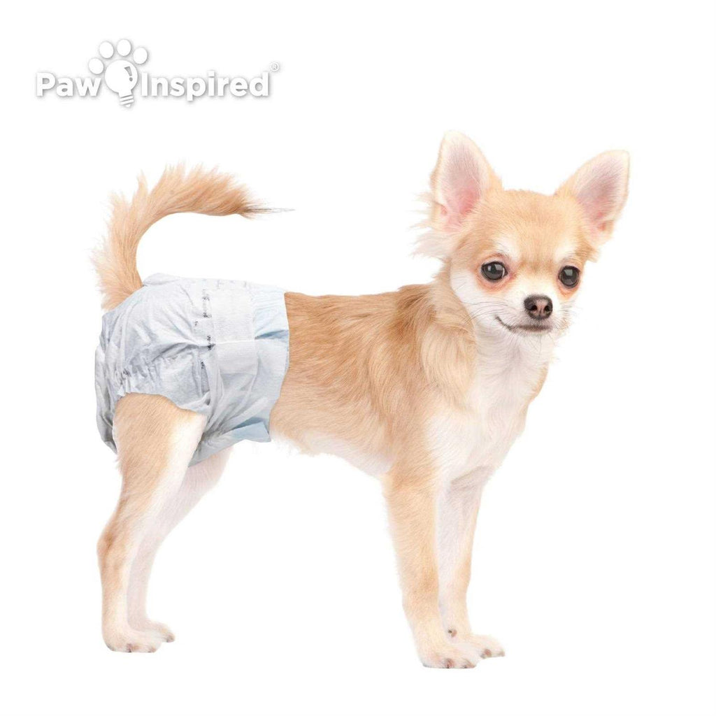 Disposable Dog Diapers L653570
