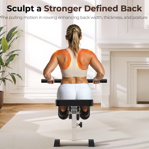 Compact Adjustable Rowing Machine 300LBS Weight Capacity 12 Levels Resistance Foldable Hydraulic Rower D81664
