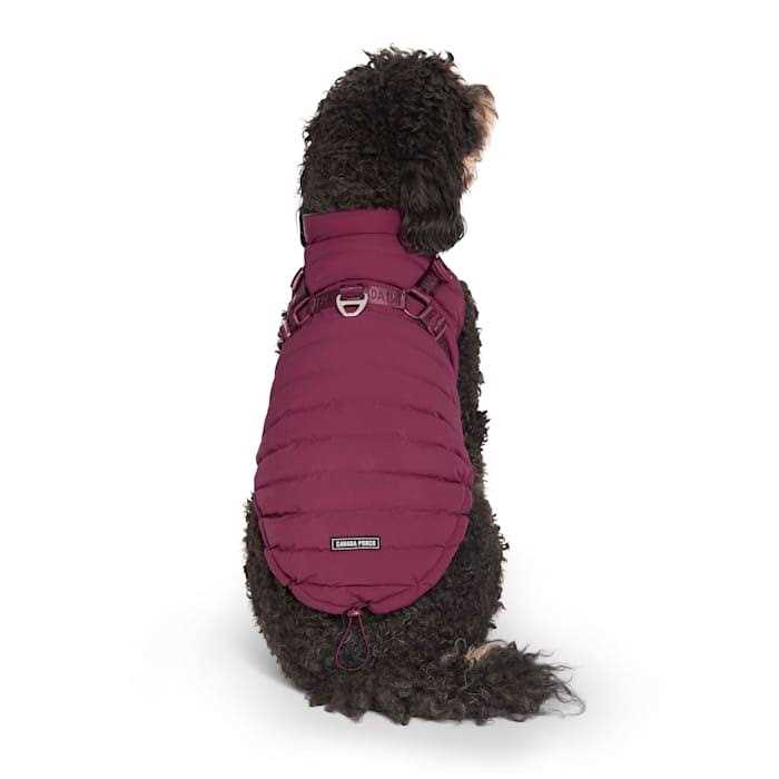 Black Puffer Harness A57241