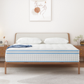 Queen 14 Inch Gel Memory Foam Innerspring Mattress L5658