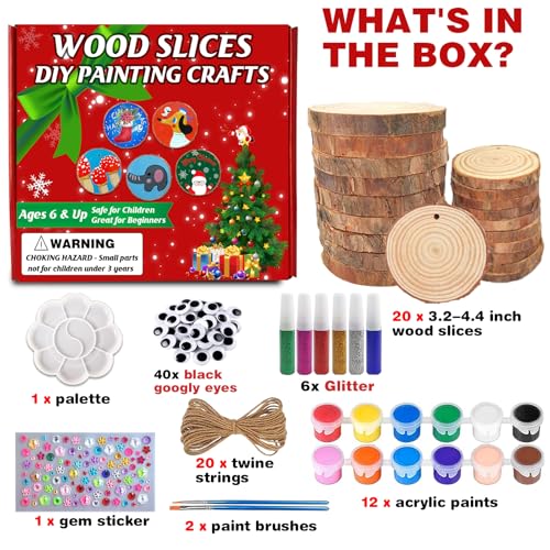 20 Pcs Natural Round Wood Slices Craft Kit C158