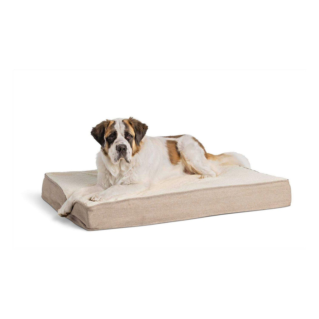 Orthopedic Dog Bed C854286