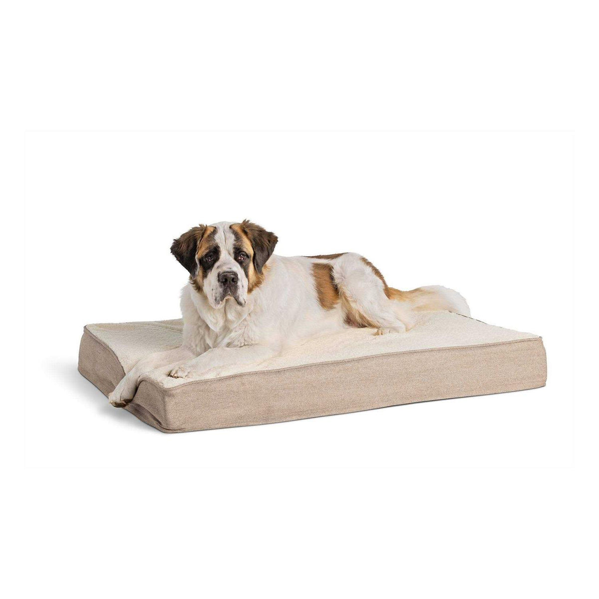 Orthopedic Dog Bed C854286