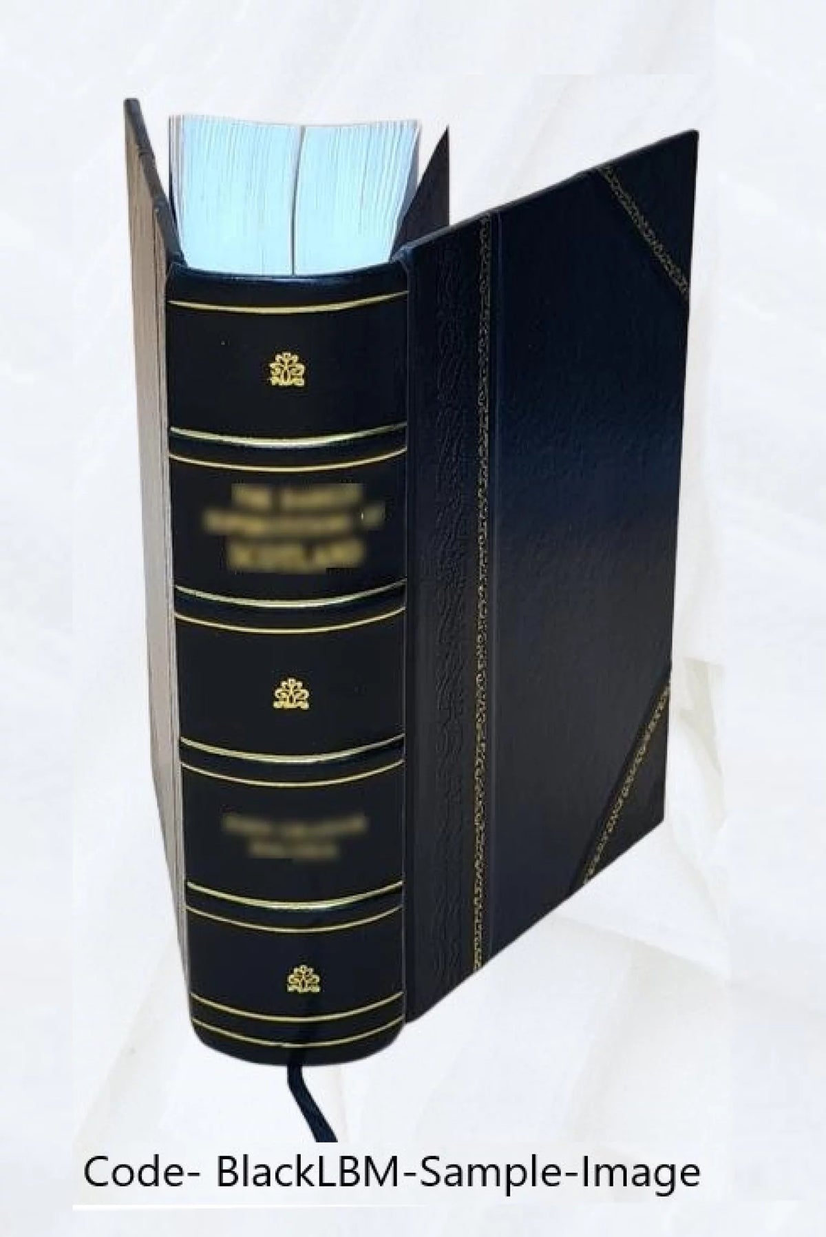 Small Electrical Utilities Nuclear Power Hearings 1968 Leather Bound U53649