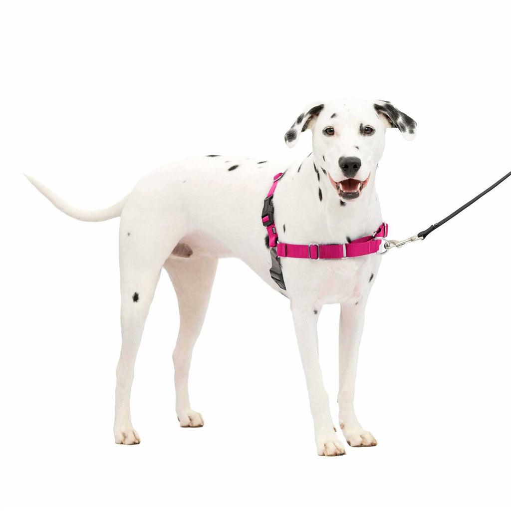 Dog Harness J822149
