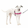 Dog Harness J822149