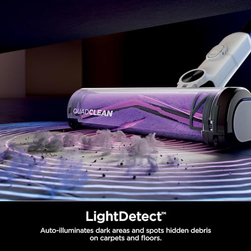 Cordless Stick F2713