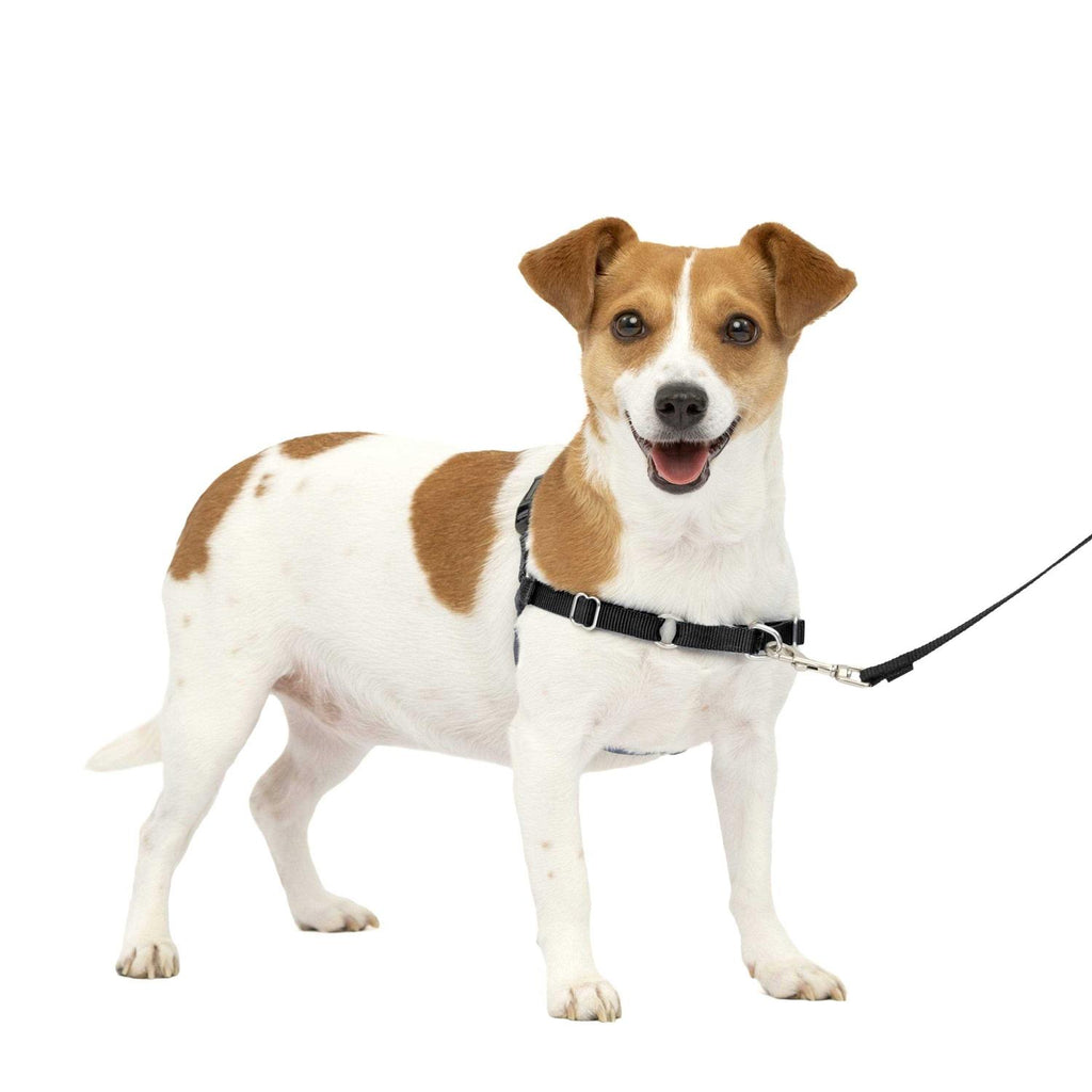 Dog Harness J822149