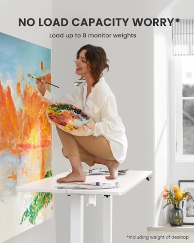 48 x 24 Inches Height Adjustable Electric Standing Desk with Memory S60592