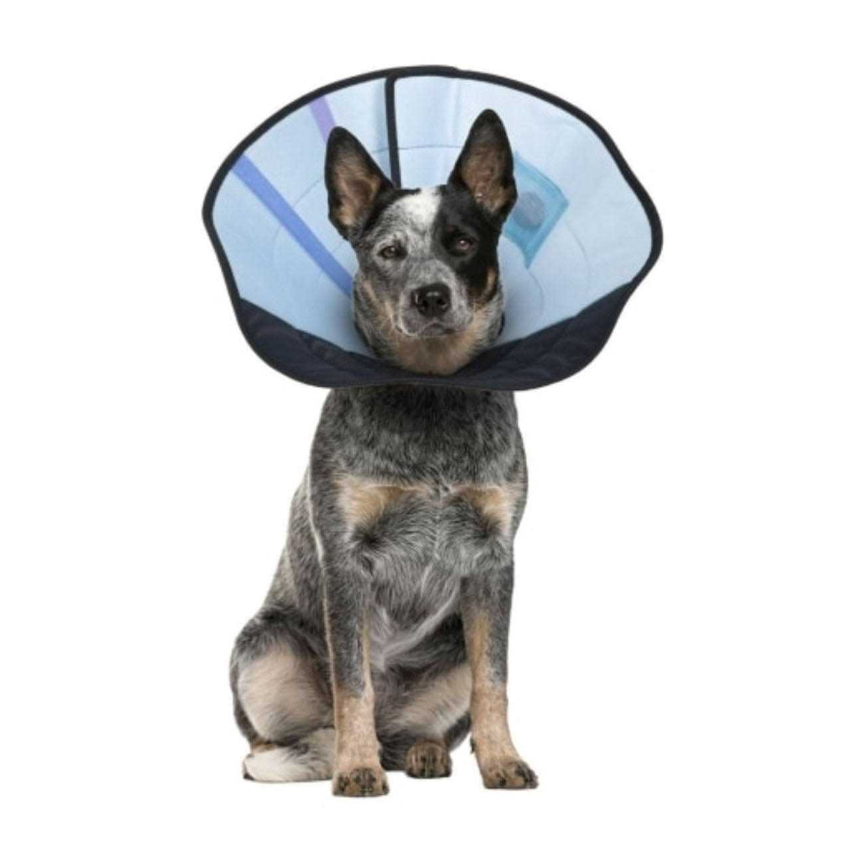 Dog Calming Collar A2226
