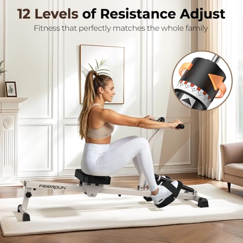 Compact Adjustable Rowing Machine 300LBS Weight Capacity 12 Levels Resistance Foldable Hydraulic Rower D81664