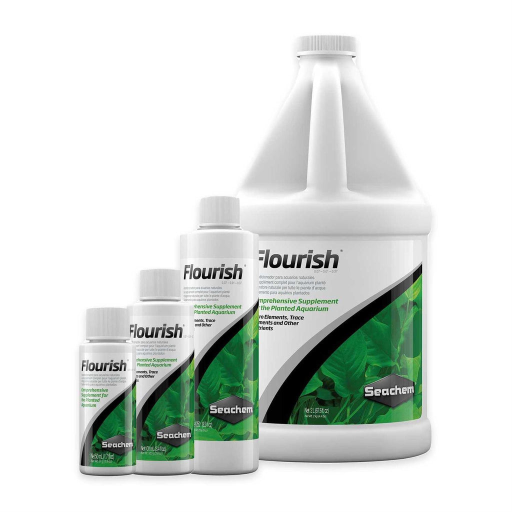 Flourish D919