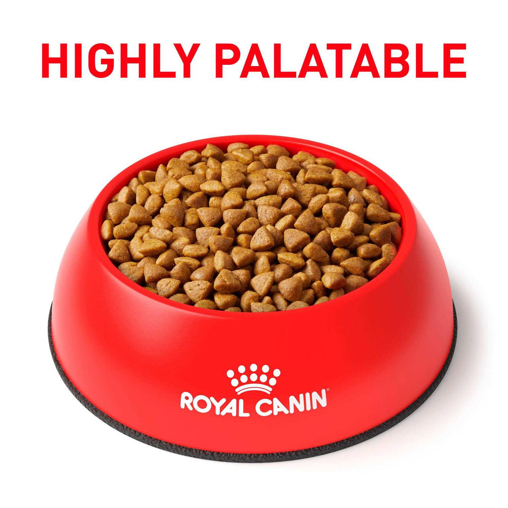 Veterinary Diet Feline Calm Dry Food M299