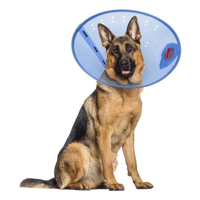 Calming Dog E-Collar A38502