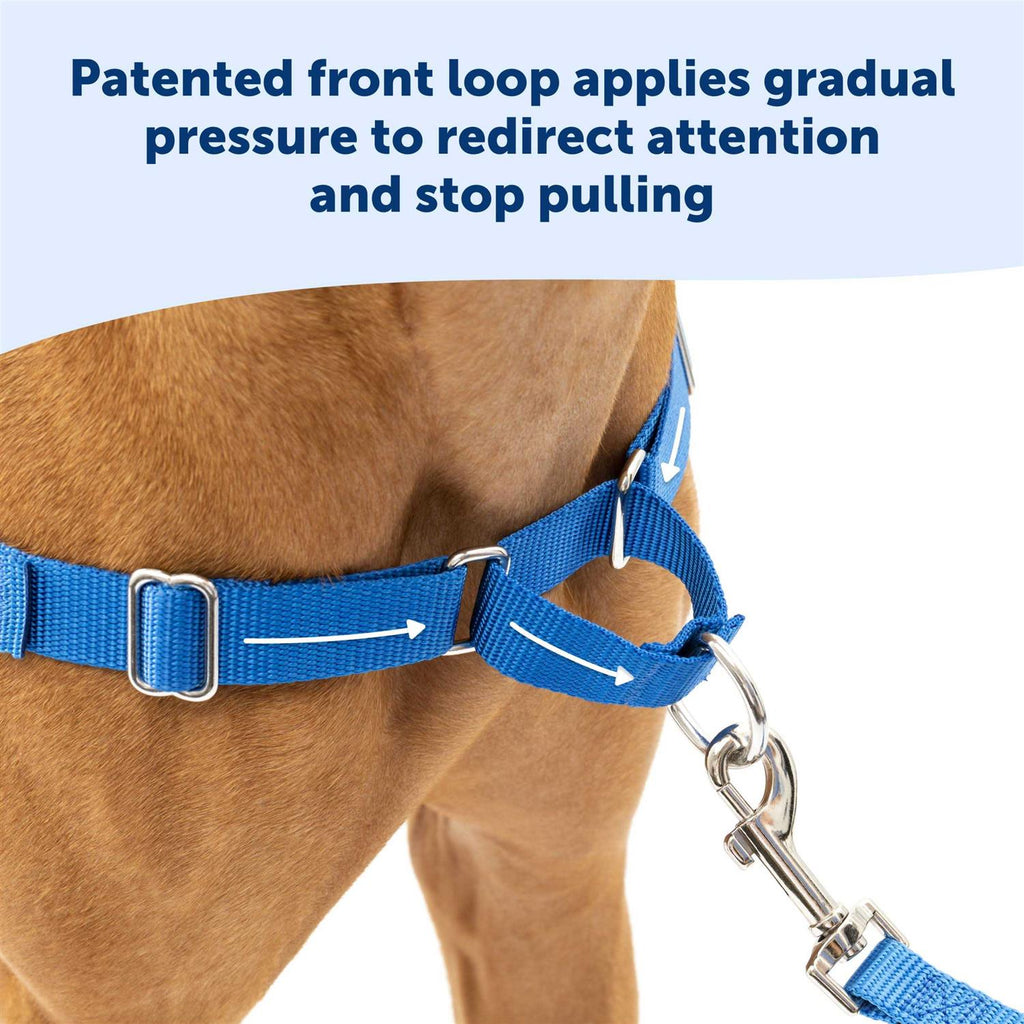 Dog Harness J822149