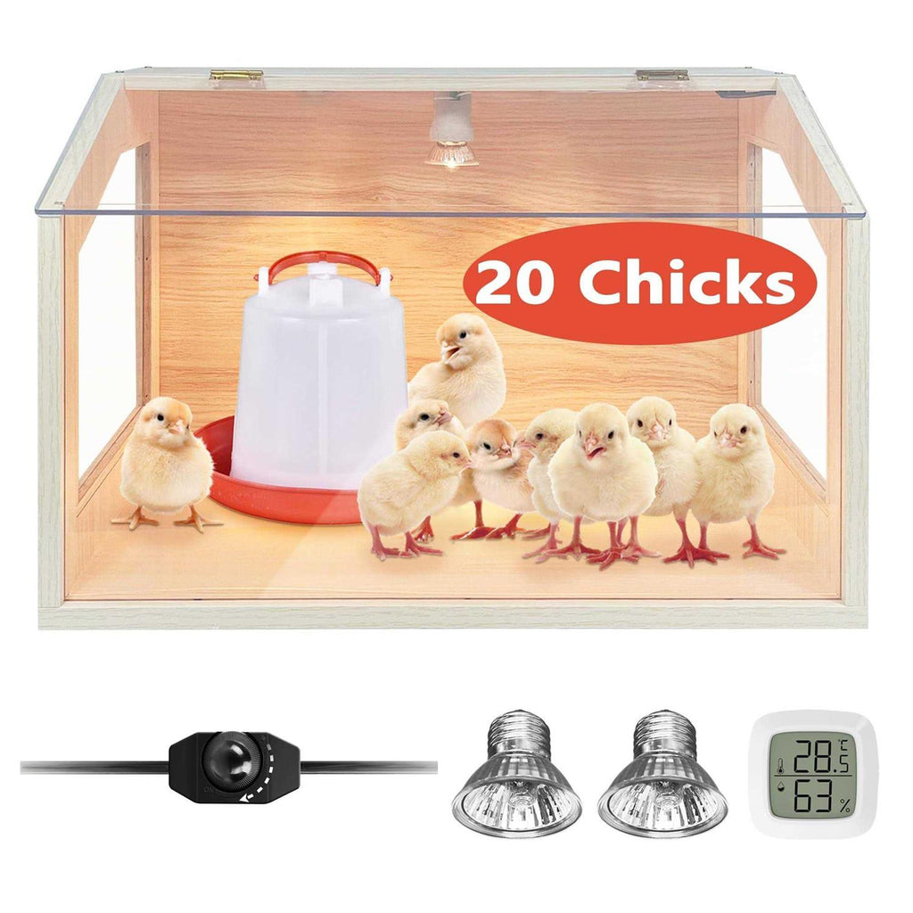 Intelligent Brooder Box with Built-in Heating Lamps Z832