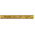 14 ft. Bamboo Telescopic Fishing Pole O363480