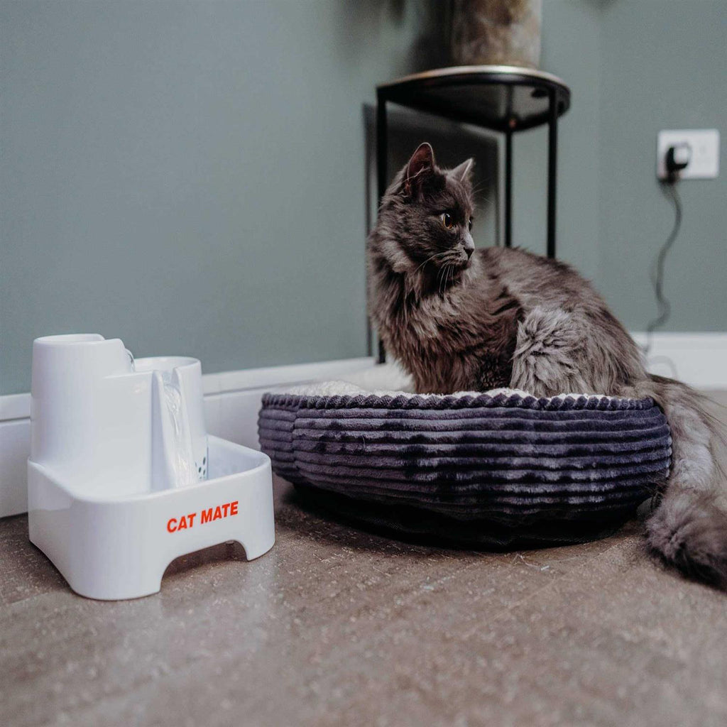 Pet Fountain R9874