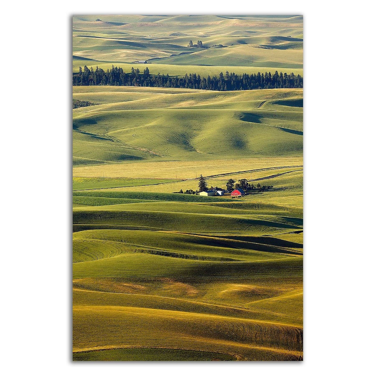 Canvas Print W6785