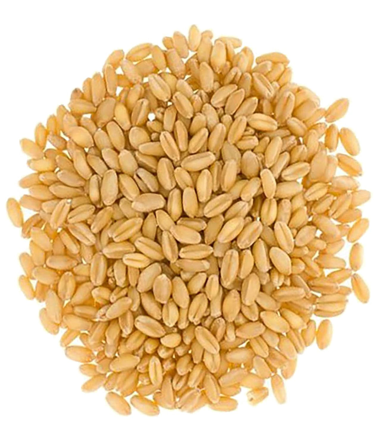 25 LBS Hard White Wheat Berries E381916