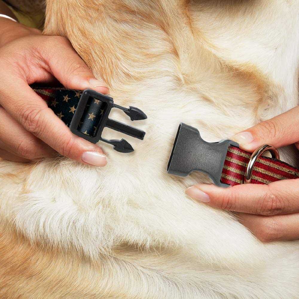 Buckle-Down Collar V26263