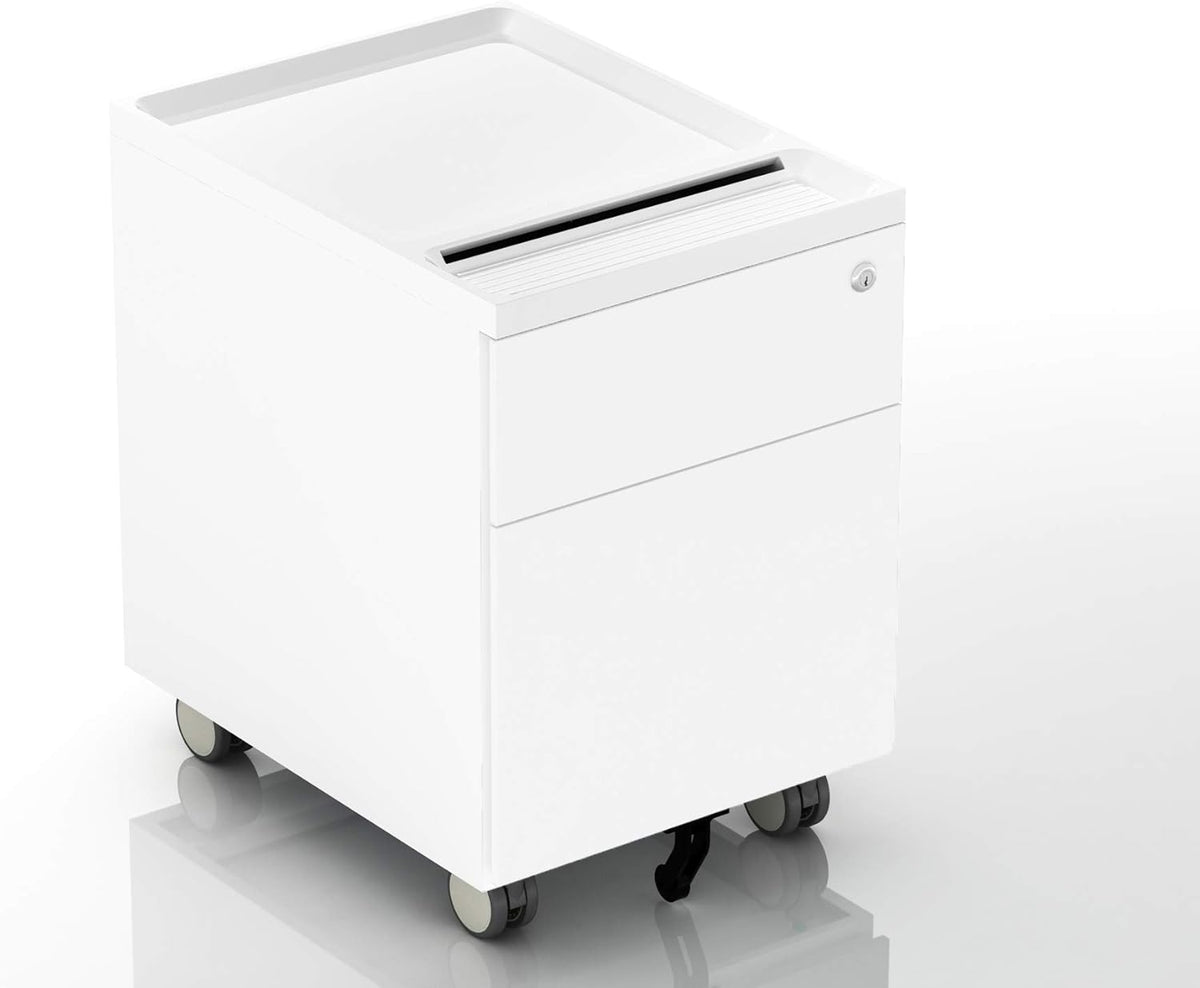 2 Drawer Mobile Filing Cabinet with Lock and Casters D645451