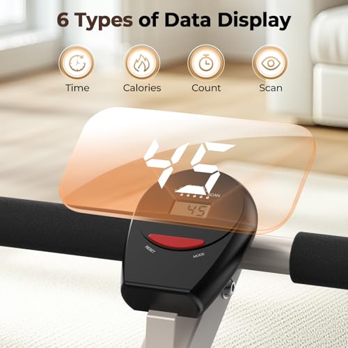 Compact Adjustable Rowing Machine 300LBS Weight Capacity 12 Levels Resistance Foldable Hydraulic Rower D81664