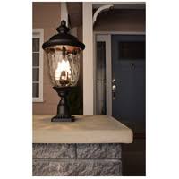 Bronze 3-Light Outdoor Hanging Lantern Y817