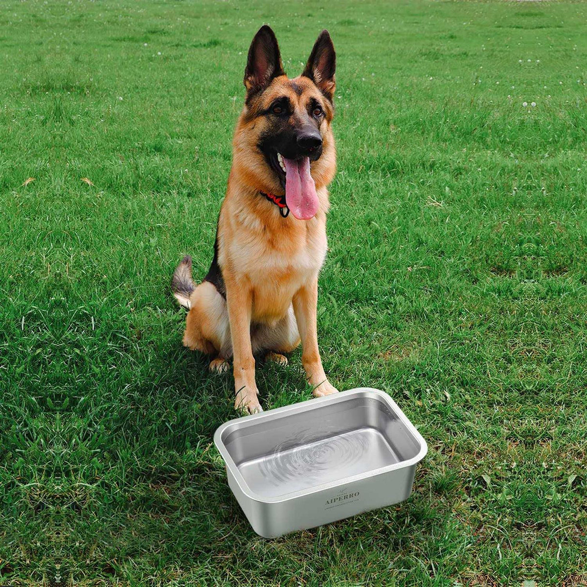 Stainless Steel Dog Bowls B799