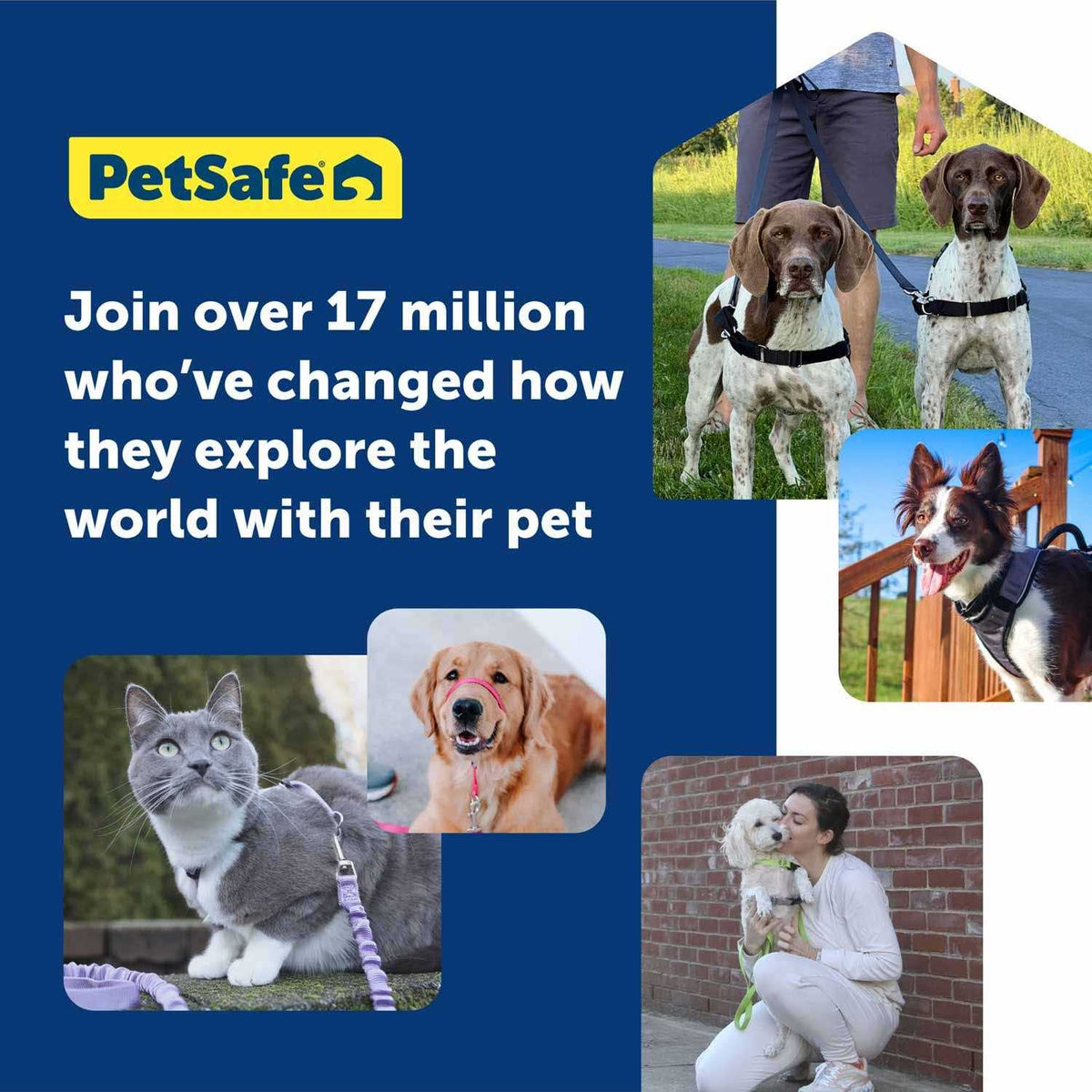 Dog Harness J822149