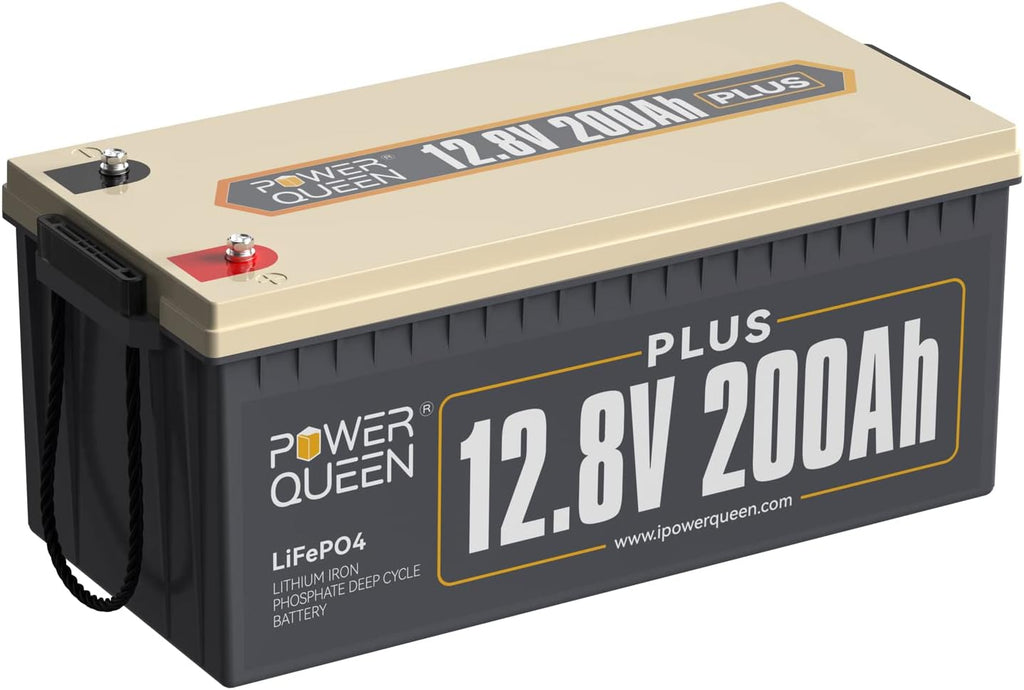 25.6V 100Ah 2.56kWh Deep Cycle LiFePO4 Battery with 100A BMS E1293