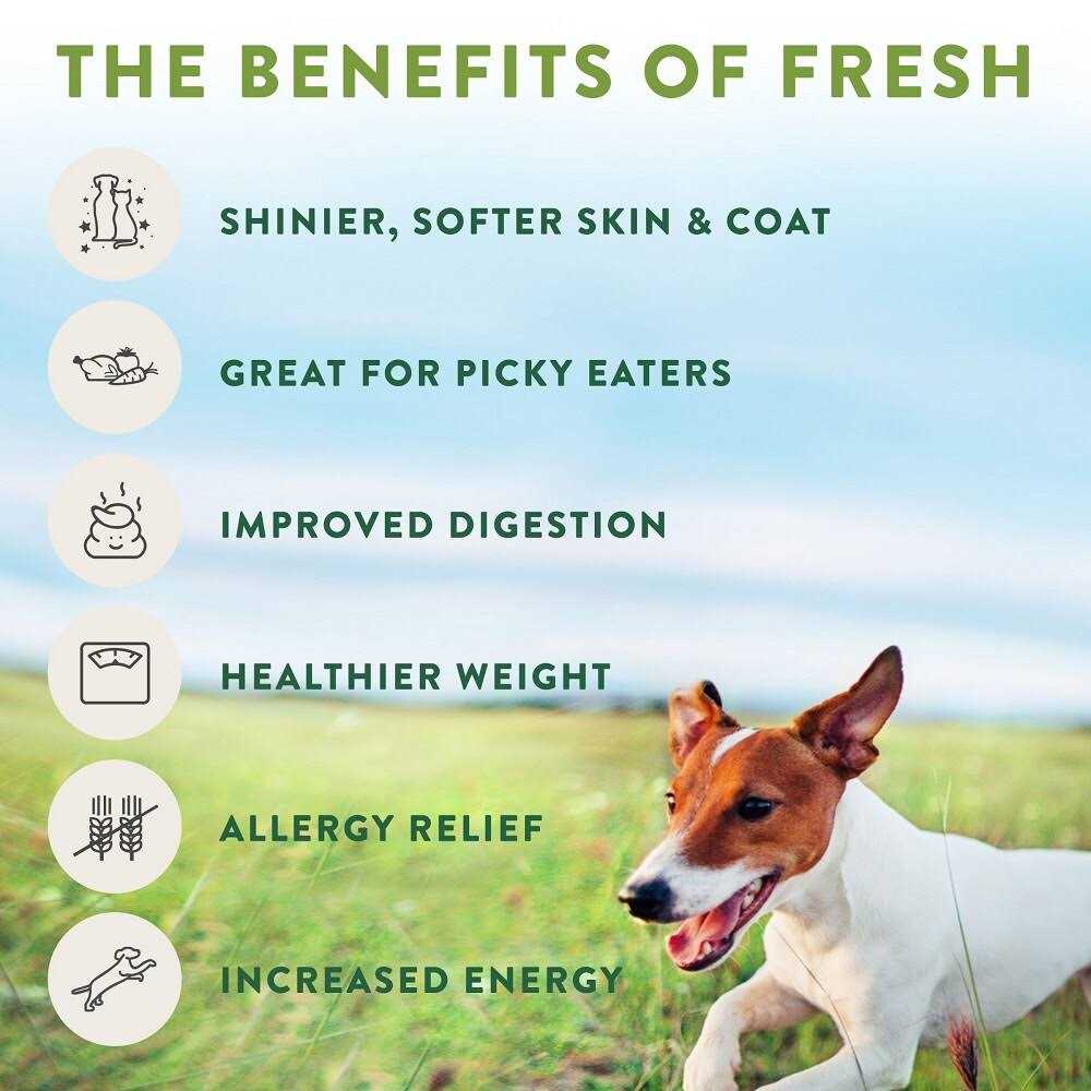 Grain Free Chicken Dog Food G4904