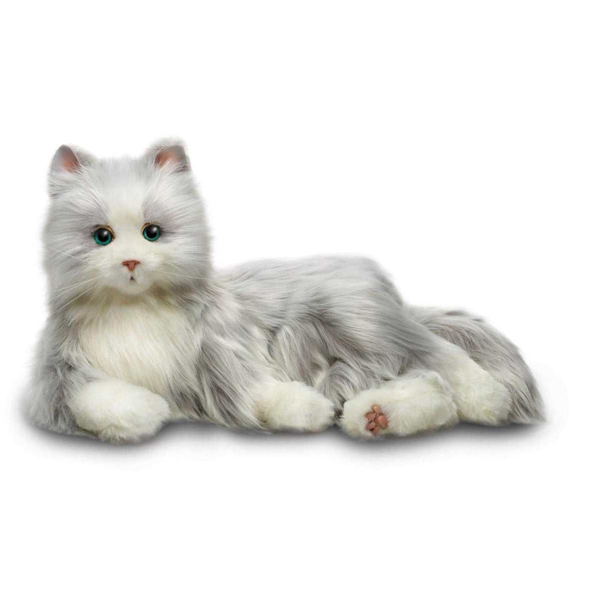Companion Pet Cat W8725