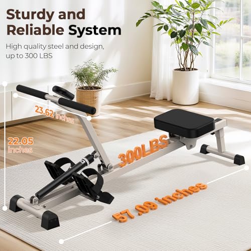 Compact Adjustable Rowing Machine 300LBS Weight Capacity 12 Levels Resistance Foldable Hydraulic Rower D81664