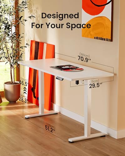 48 x 24 Inches Height Adjustable Electric Standing Desk with Memory S60592