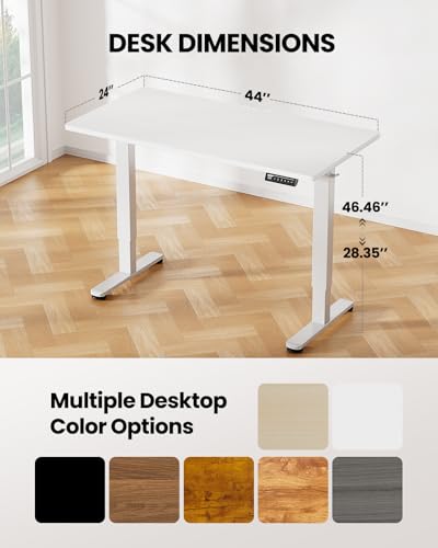 48 x 24 Inches Height Adjustable Electric Standing Desk with Memory S60592