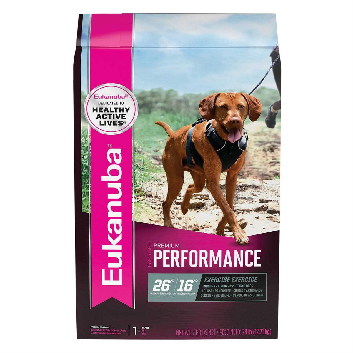 Dry Dog Food U837626