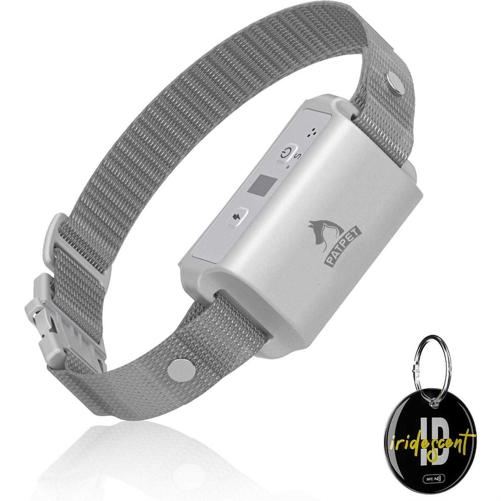 Anti-Bark Training Dog Collar Z77000
