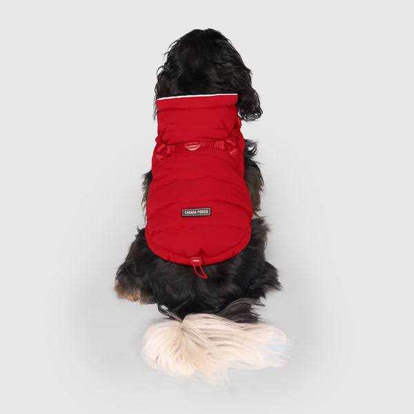 Black Puffer Harness A57241
