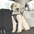 Easy Rider Car Harness N4460