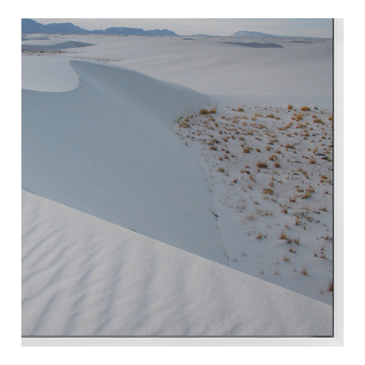 Sahara Wall Decor J799185