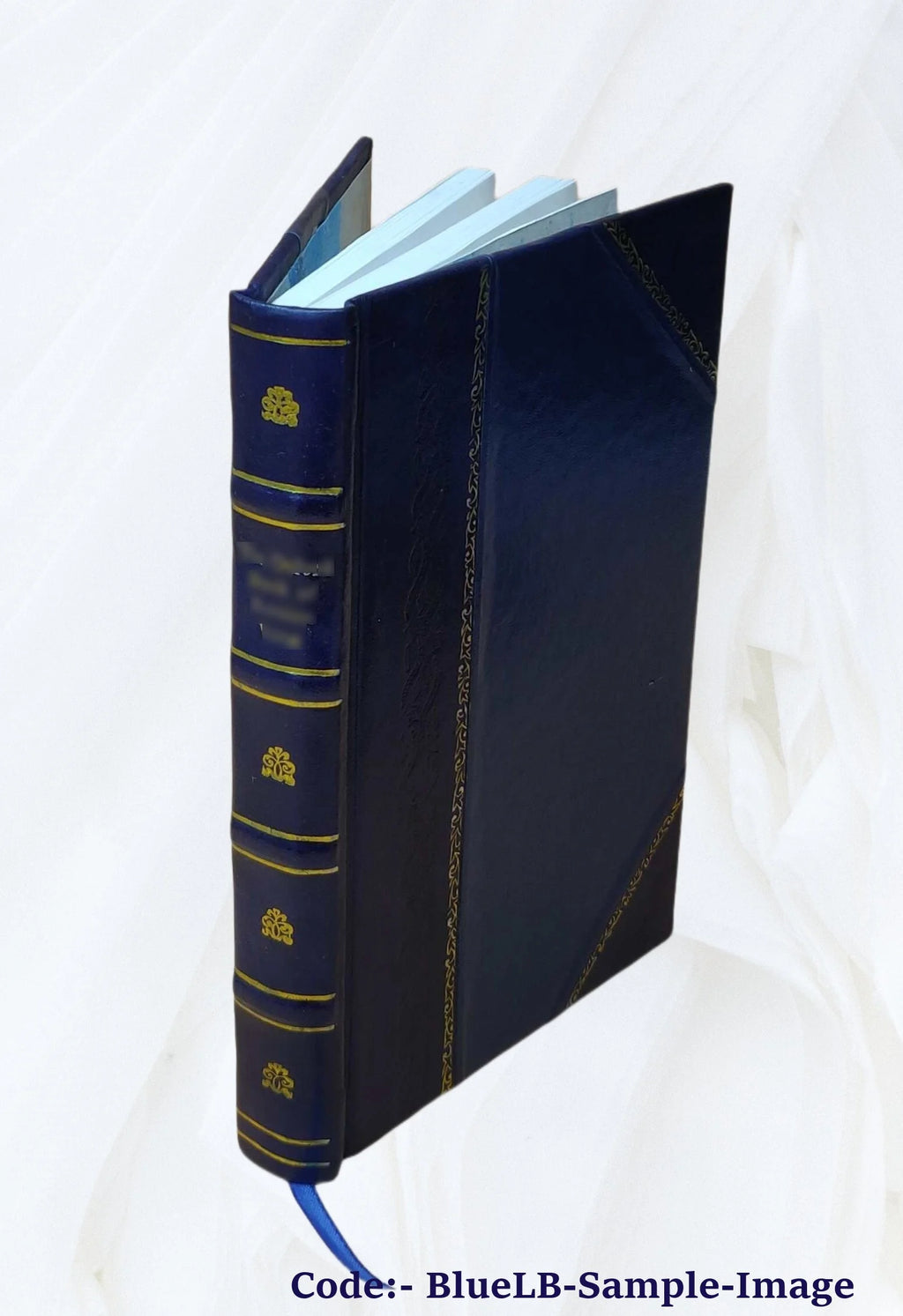 Leather Bound Book F935448